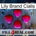 Lily Brand Cialis 13